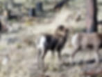 20201121_122613.jpg
