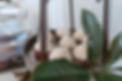 DSC03350.jpg