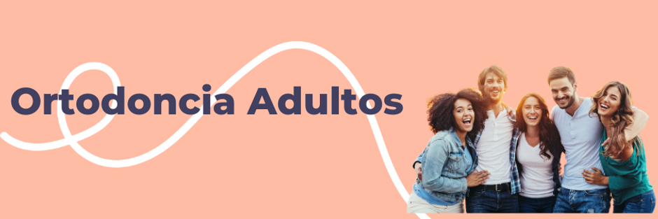 Sin título (120 × 200 px) (300 × 100 px) (2).png