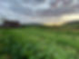 barn villa acres green field.jpeg