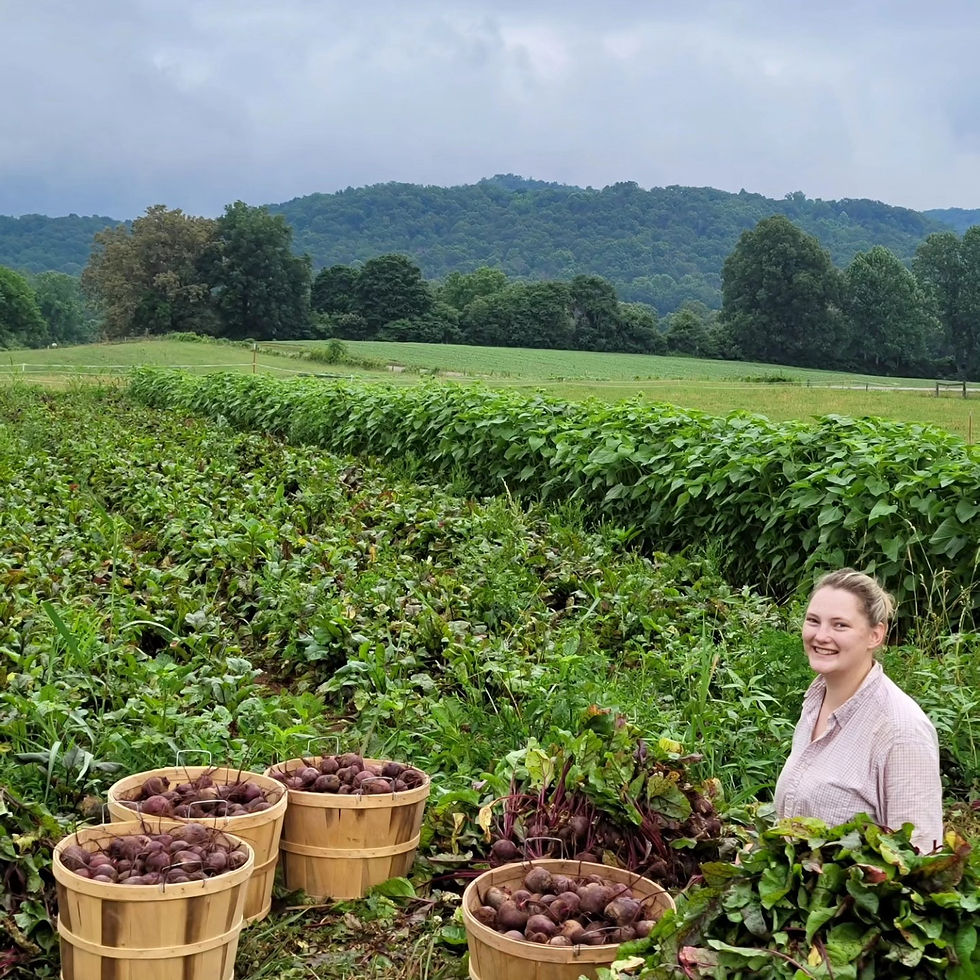beets green farm woman farmworker