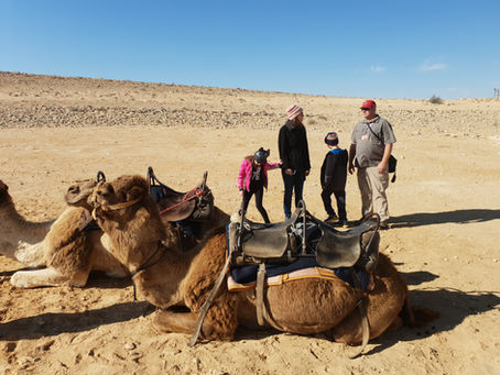WINTER IN NEGEV - BEAUTY AND HISTORY