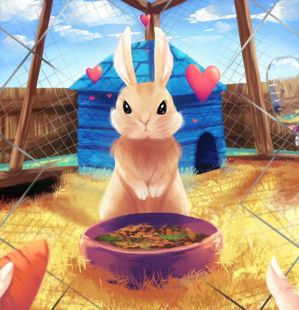 pet bunny