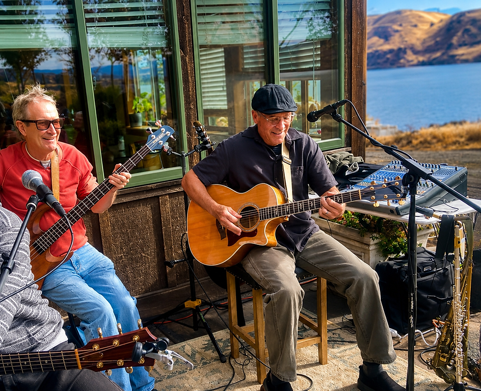 Live Music - Blues and Views