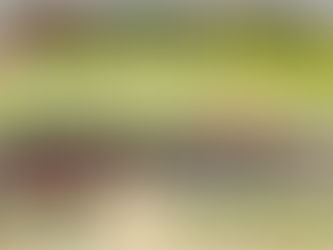 【7.12YouTubeにて生放送】アフリカで学校建設