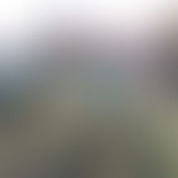 【活動レポート】県央地域部会　道路点検・清掃活動を実施しました