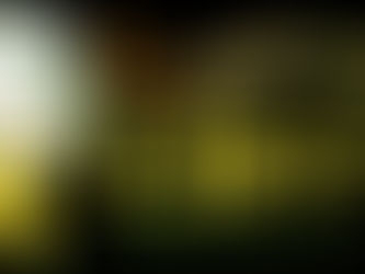 どほイチの公式サイトを開設、