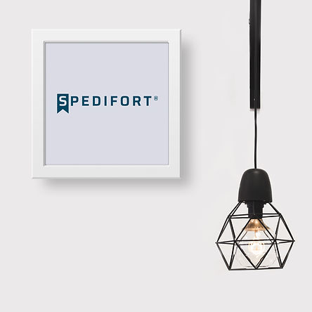 Spedifort-rebranding-logo-design.jpg
