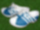 clogs
