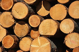 Naturbaustoff Holz