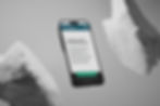 A smartphone displays a website titled "Services at a Glance" in a modern font. The background is gray with large boulders.