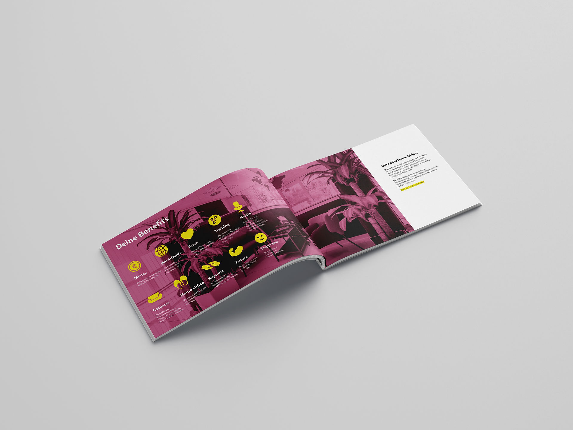 Broschüre Design Spedination