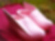 clogs