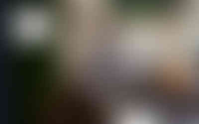 prime interior designs website template preview