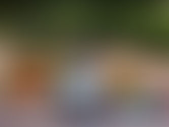 Serien-Start für Stromer