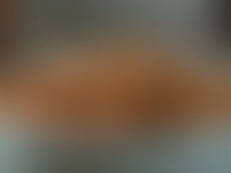 Open Feeding vs Once a Day Feeding for Pets Pros and Cons Revealed