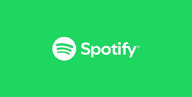 2024-spotify-brand-assets-media-kit.jpg