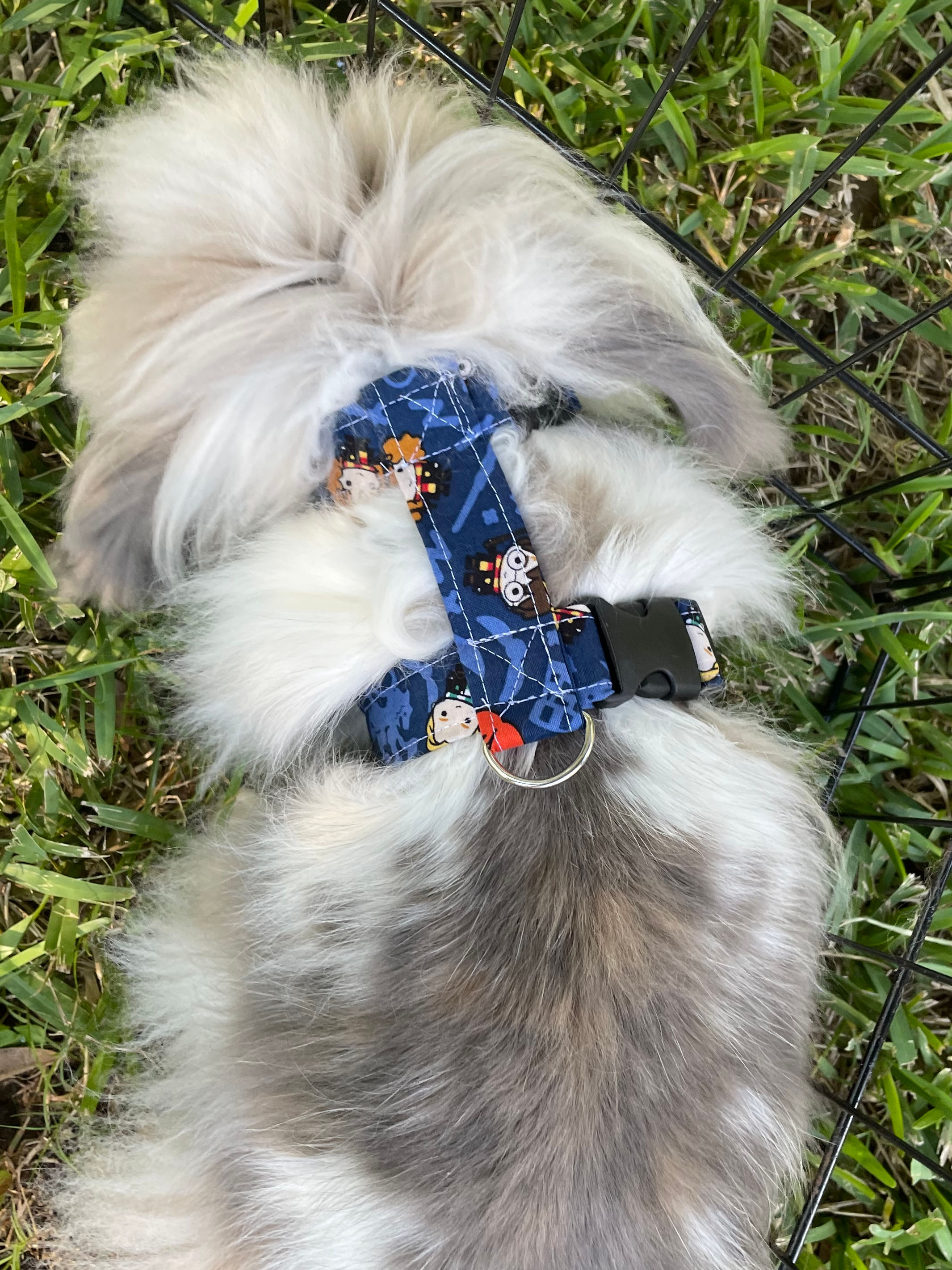 Hairy Pawter Harness for bunnies