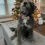 Thumbnail: Christmas dog bow