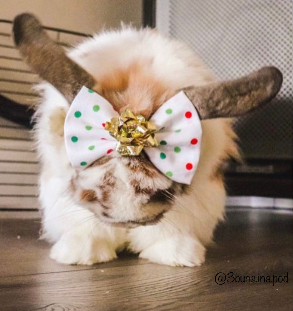 Thumbnail: merry bow | Christmas 