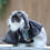 Thumbnail: Slytherabbit GREEN cloak pawgwarts