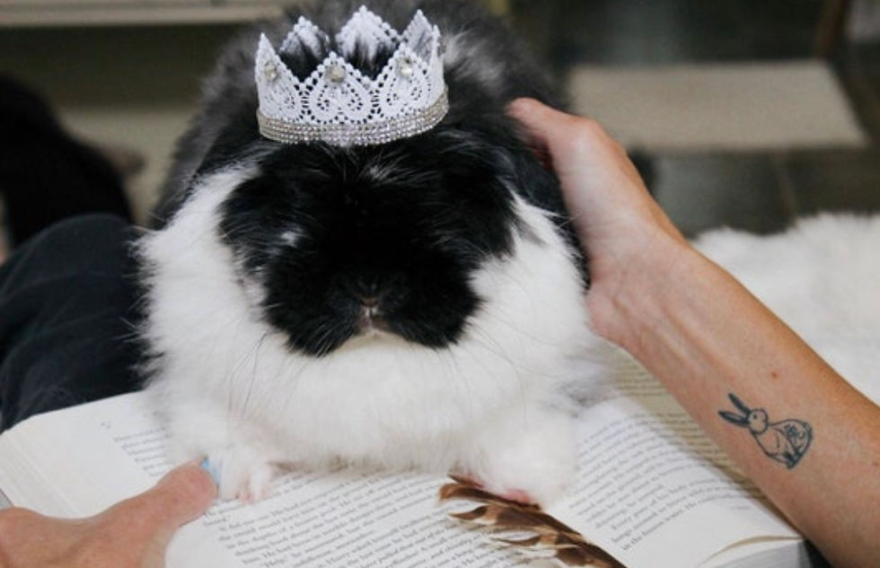 Thumbnail: Luxurious Crown  For Bunny