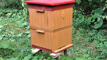 jeden drewniany ul, w tle rośliny