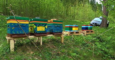 kolorowe ule na drewnianych stojakach, w tle samochód i las