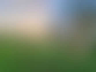 Misty hillside view in the Cotswolds, where Emilie offers trauma therapy to adults online and in-person, near Cheltenham, Bishops Cleeve, Tewkesbury and Evesham.