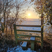 Image shows a stile between two fields on a frosty morning near Winchcombe, Cheltenham, where Emilie offers coaching sessions online or in person for adults at Wanderwood Coaching in relation to work and careers, including corporate careers and career changes. The stile and glowing sunrise in the field behind it represent the goals a client might have and the steps or challenges on the way to achieving those goals at work.
