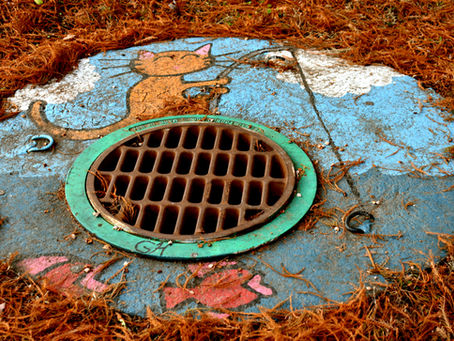 Colorful sidewalk art of a cat fishing, surrounding a sewer grate. Blue sky and reddish-brown needles add vibrant contrast.