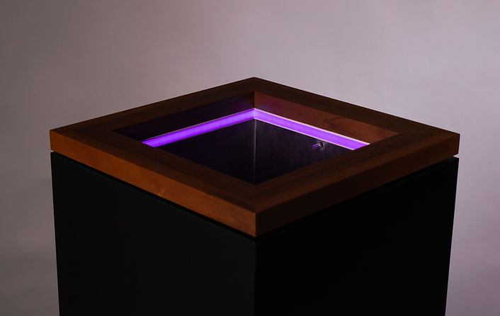 Noble Bonsai meuble design - led violet fond sombre