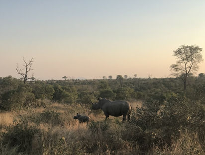 Engaging Special Operations Forces in Africa: A2G International at Silent Warrior 2025