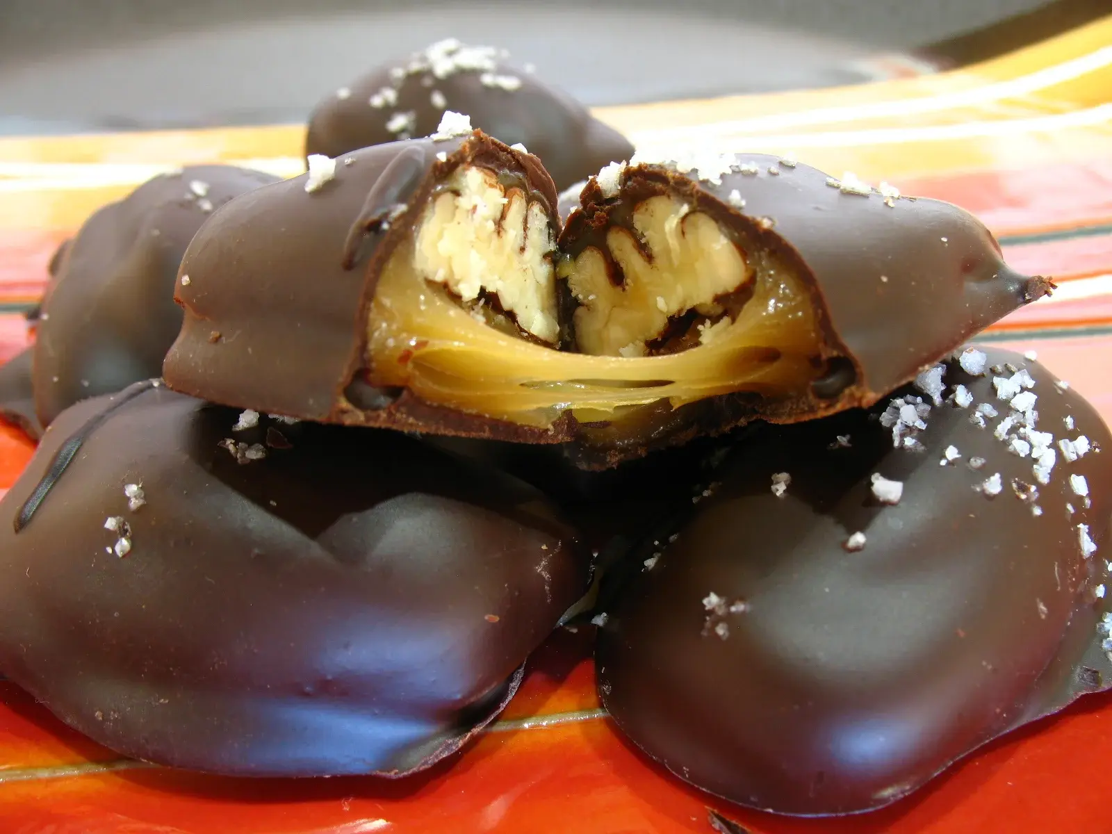 Peruvian Dark Chocolate Desert Tortoise