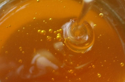 Sonoran Desert Honey