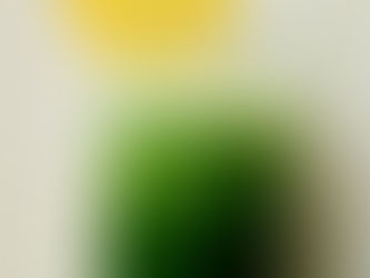 Ready to get Juiced, a green smoothie just in time for Earth Day!