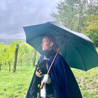 Rainy visit to vineyard