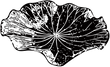 Shape_15_20210508_184753%255B1%255D_edit