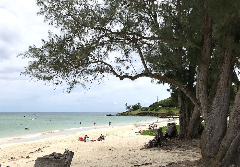 Kailua Beach Park
