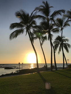 Fairmont Orchid