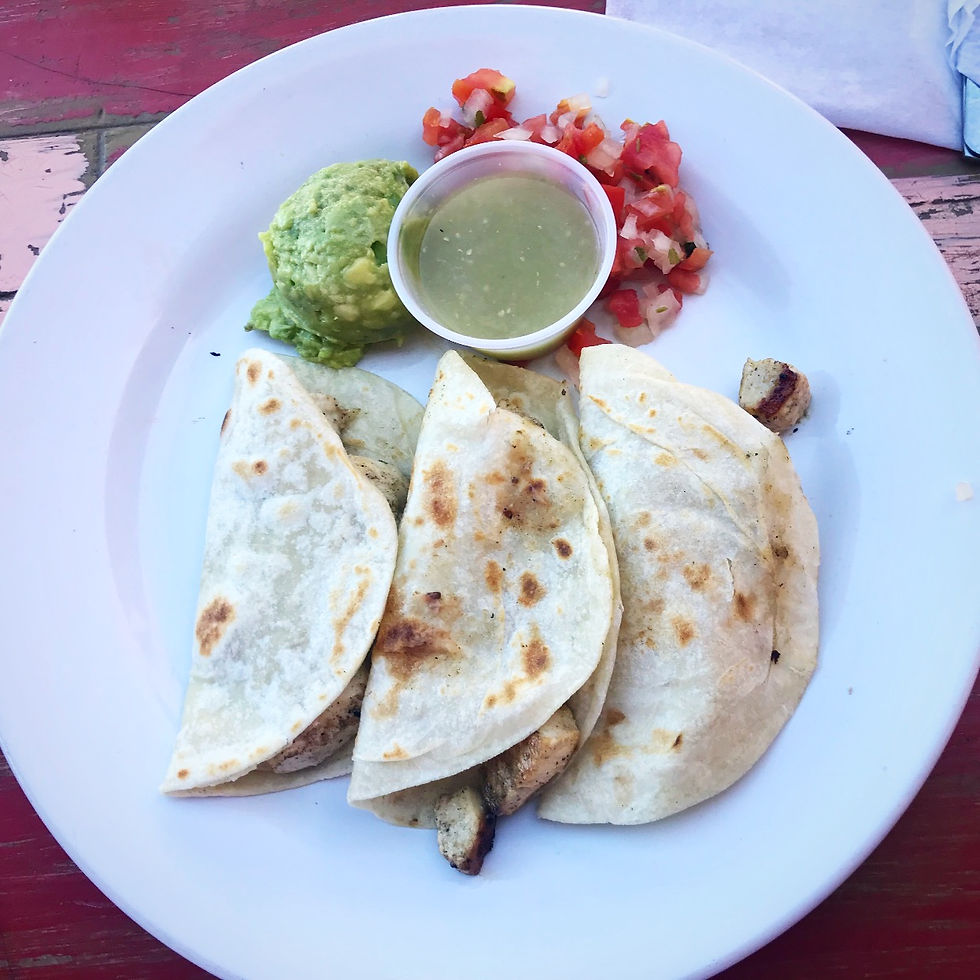 Senor Frogs, Cabo San Lucas