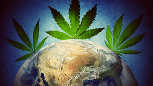 Why Hemp- an environment friendly, anti-cancerous alternative to toxic industries is still illegal?