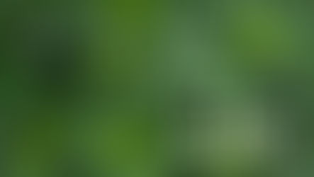 What is CBG and its medical benefits?