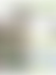 広報むすびVol.63を発行いたしました。