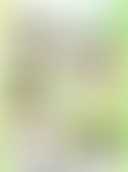 りんごだより5月号（No.89）を発行いたしました。