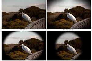 Eye Trial Frame