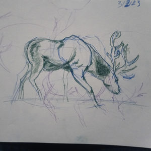 Sketchbook