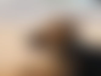 🗿 الطريق إلى الپاسيفيك 4 عالم كلاب كلاب كلاب!