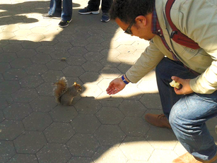 🇺🇸 السيناتور على التليفون