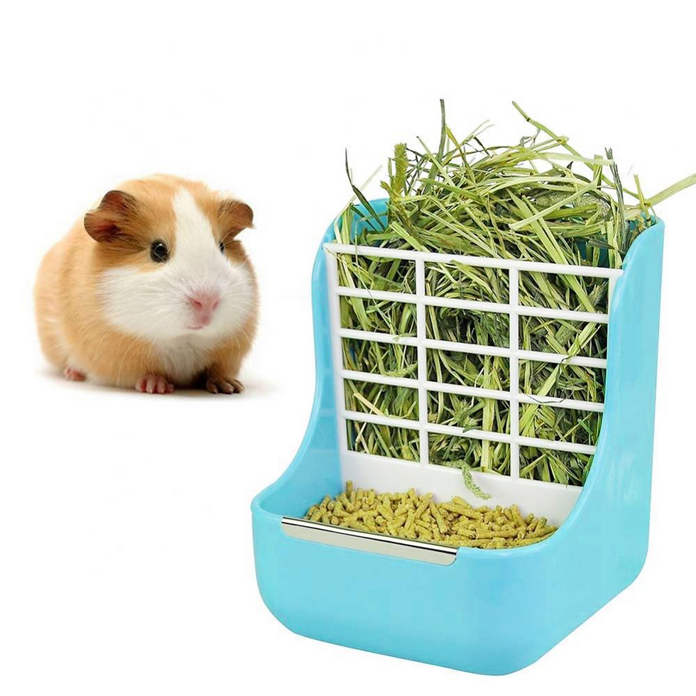 Thumbnail: Rabbit Food Bowl & Hay Rack